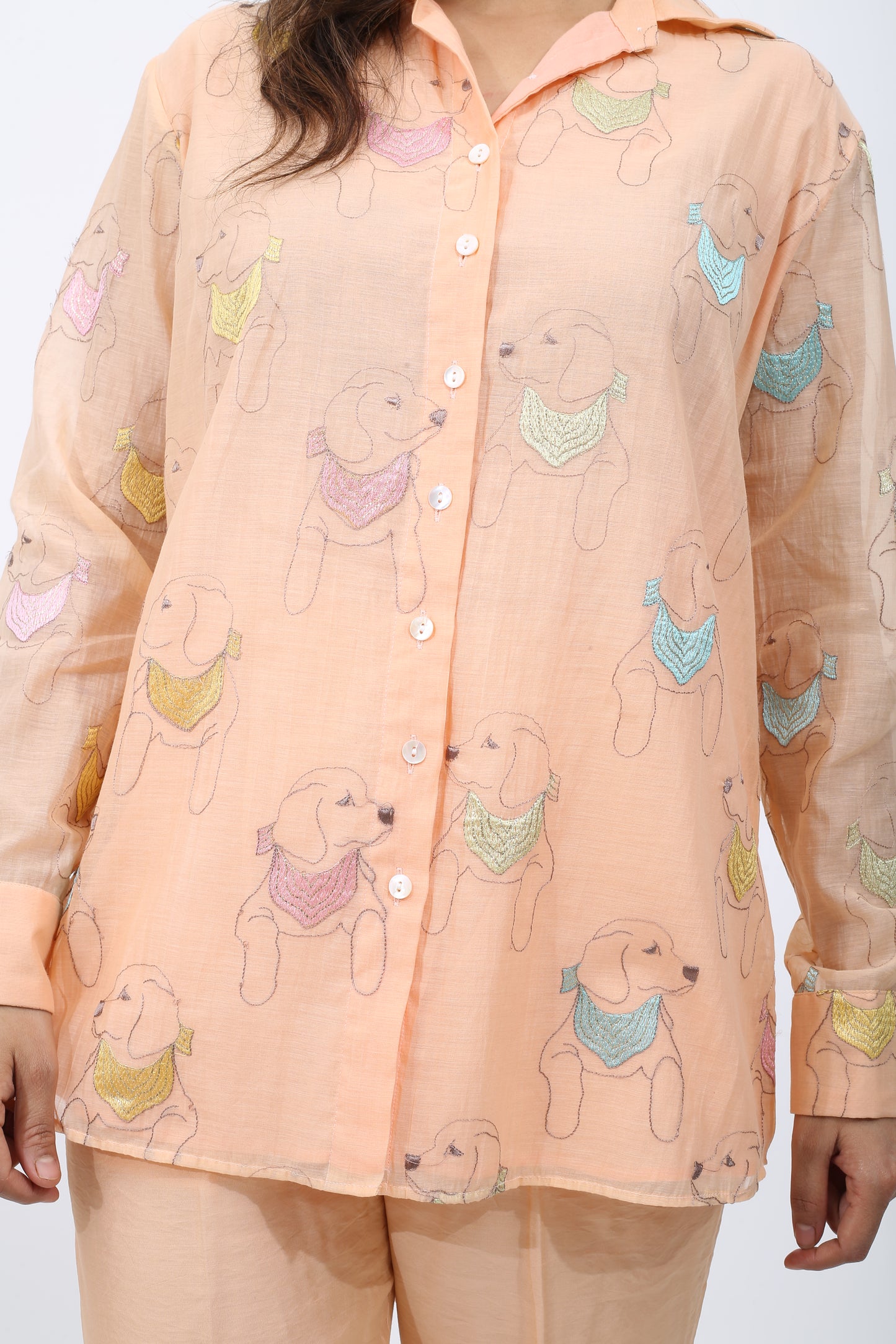 Chanderi Dog Co-ord Set