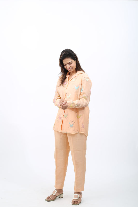 Chanderi Dog Co-ord Set