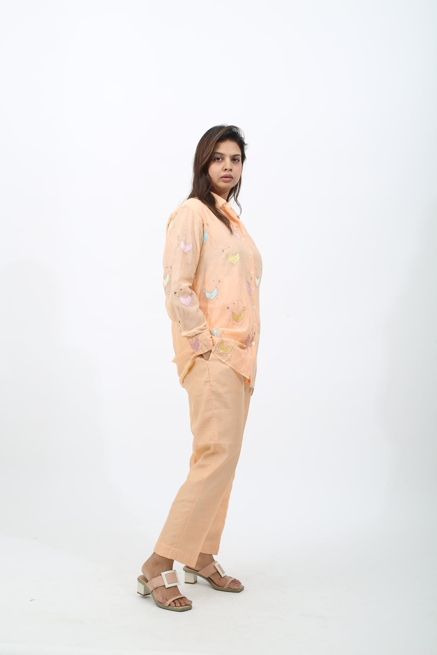 Chanderi Dog Co-ord Set