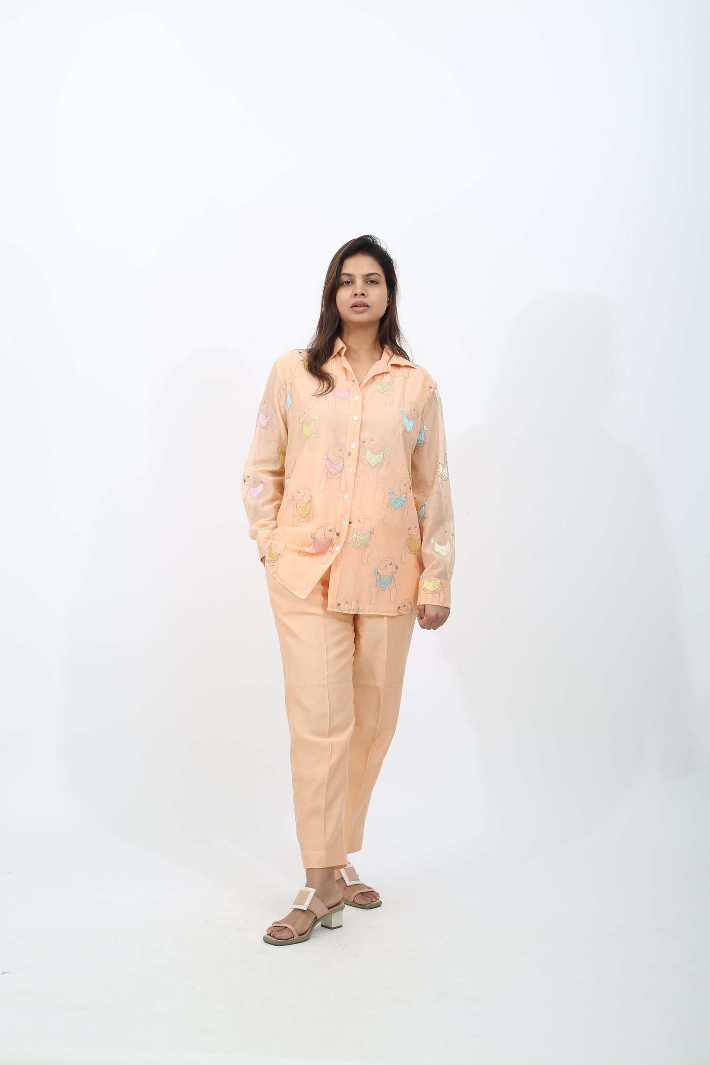 Chanderi Dog Co-ord Set
