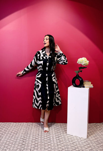 The Zebra Illusion Dress